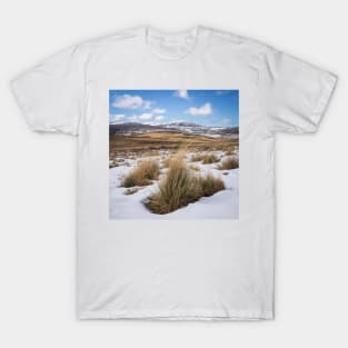 Snowed In Grasses T-Shirt